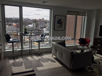 Brighton 2 Beds 2 Baths Boston - $3,975 No Fee