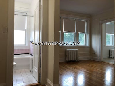 Brighton Apartment for rent 1 Bedroom 1 Bath Boston - $2,895 No Fee